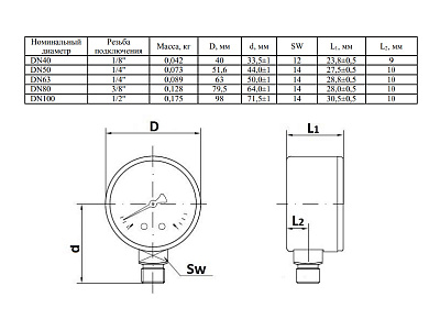 Манометр Watts F+R200 63/6, радиальный
